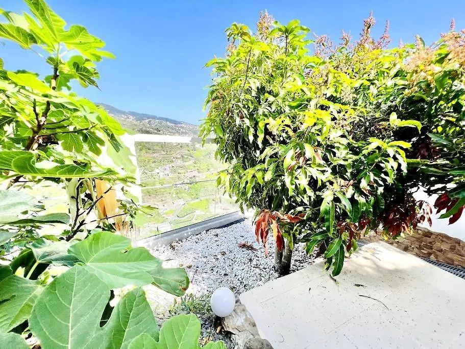 Holiday home Mar A Vista By Your Madeira Rentals Ponta do Sol